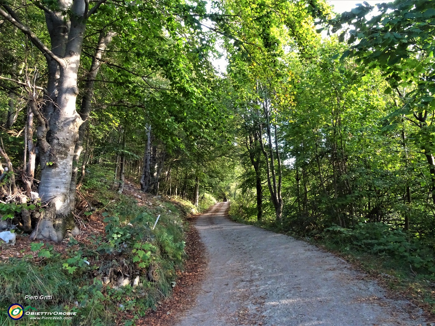 08 Salendo la stradetta agrosilvopastorale per il Rif. Gherardi.JPG